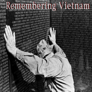cover image of The Vietnam War